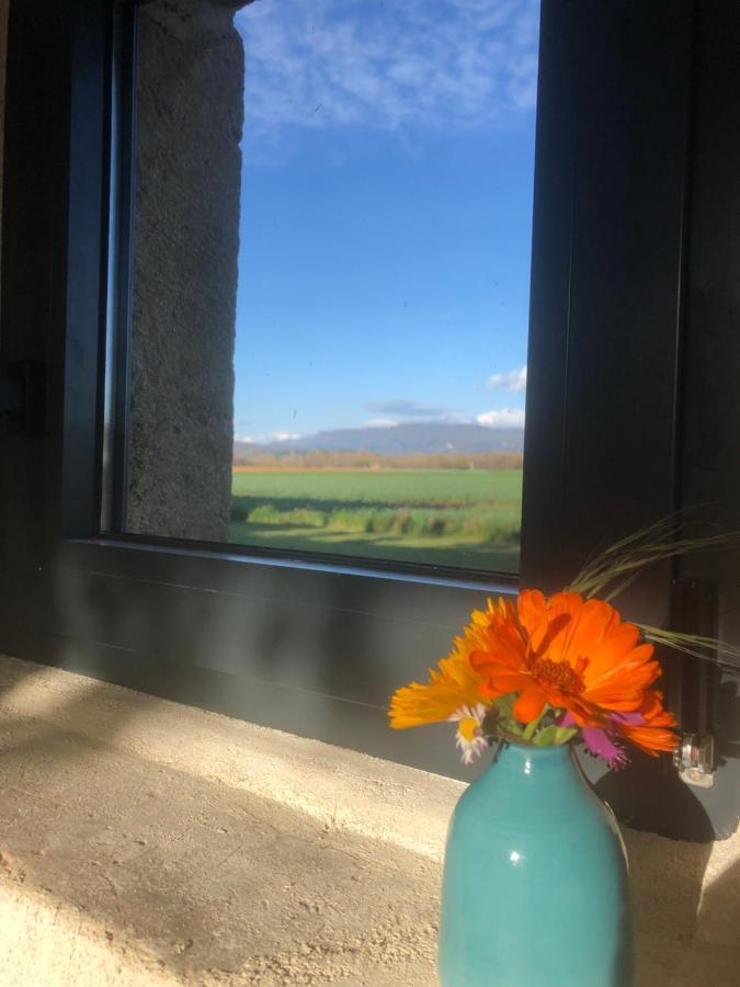 Apartament L'Atelier Grane Zewnętrze zdjęcie